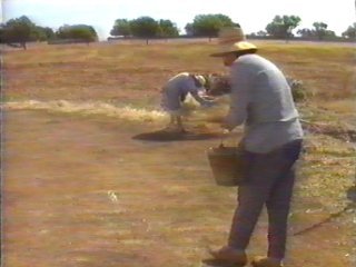 CAMPO (83)  LABRANZA